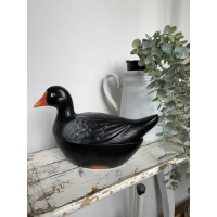 Michel Caugant zwarte waterhoen