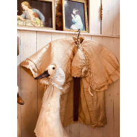 Schitterende 3 delige doopensemble