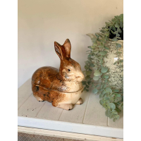 Michel Caugant Konijn