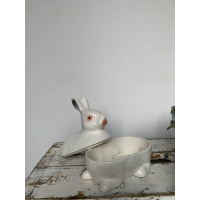 Klein wit sneeuwkonijn