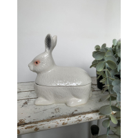 Klein wit sneeuwkonijn