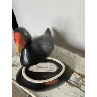 Michel Caugant zwarte waterhoen