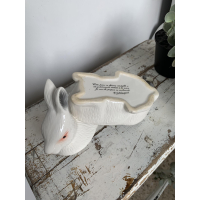 Klein wit sneeuwkonijn