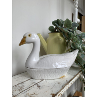 Michel Caugant zwaan 