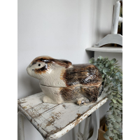 Michel Caugant konijn 