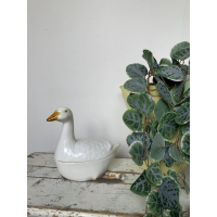 Michel Caugant Gansje 