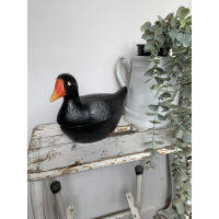 Michel Caugant zwarte waterhoen