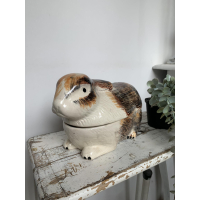 Michel Caugant konijn 