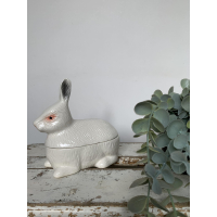 Klein wit sneeuwkonijn