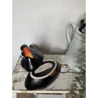 Michel Caugant zwarte waterhoen