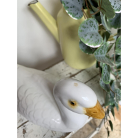 Michel Caugant zwaan 