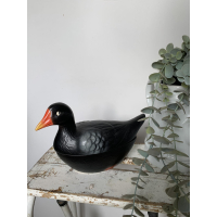 Michel Caugant zwarte waterhoen