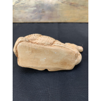 Kameel uit kerststal 