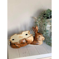 Michel Caugant Konijn