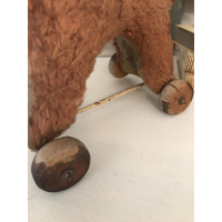 VERKOCHT - Schattig hondje op wielen 