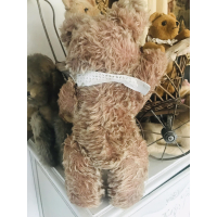 Oude shabby brombeer 