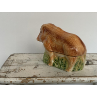 Het everzwijn biggetje of wild zwijn biggetje! 