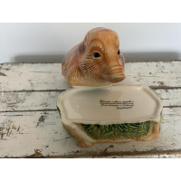 Het everzwijn biggetje of wild zwijn biggetje! 