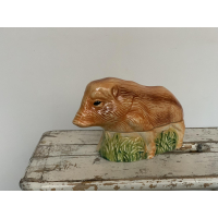 Het everzwijn biggetje of wild zwijn biggetje! 