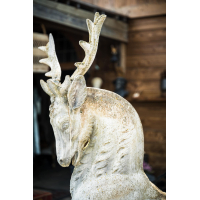 VERKOCHT - Prachtig en levensgroot betonnen beeld van een hert.