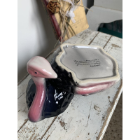 Michel caugant struisvogel