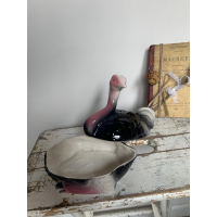 Michel caugant struisvogel