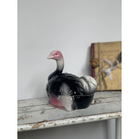 Michel caugant struisvogel