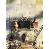 Mooie oude Jardinière of cache pot 