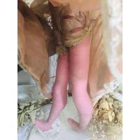 Antieke sofa doll / boudoir pop uit de jaren 1880.