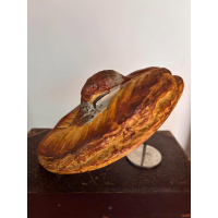 Antieke Pillivuyt patrijsterrine – Model nr. 4 – Frans aardewerk