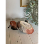 Michel Caugant eendje