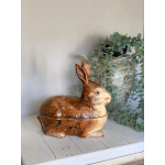 Michel Caugant Konijn