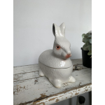 Klein wit sneeuwkonijn