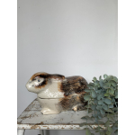 Michel Caugant konijn 