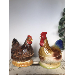 Koppel Michel caugant kippen