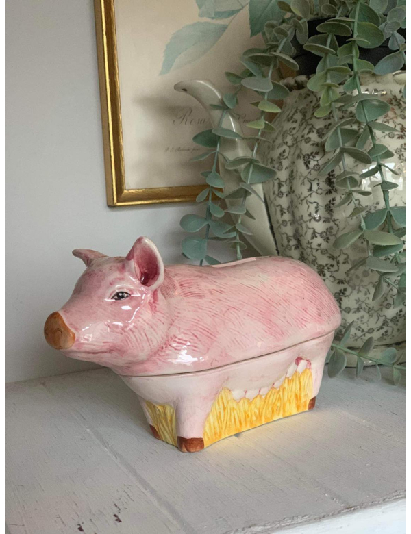 Spaarpot varkentje Michel Caugant 