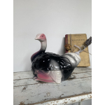 Michel caugant struisvogel