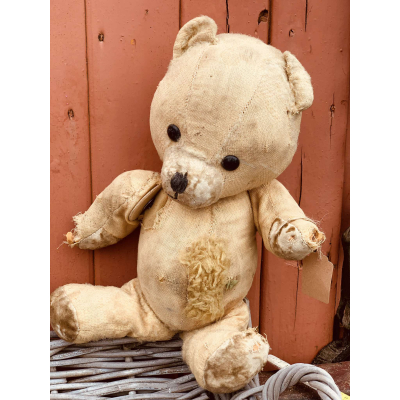 Teddy
