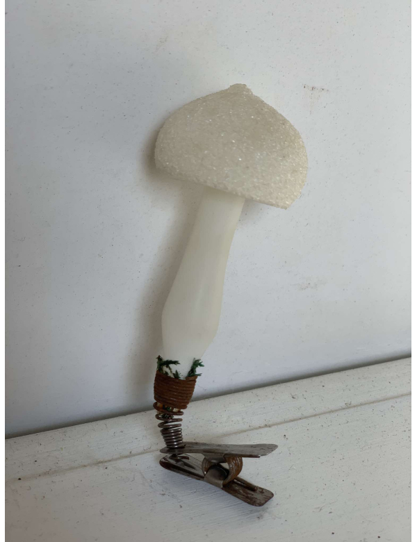 Antieke gesuikerde witte paddenstoel op clip 