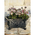 Mooie oude Jardinière of cache pot 