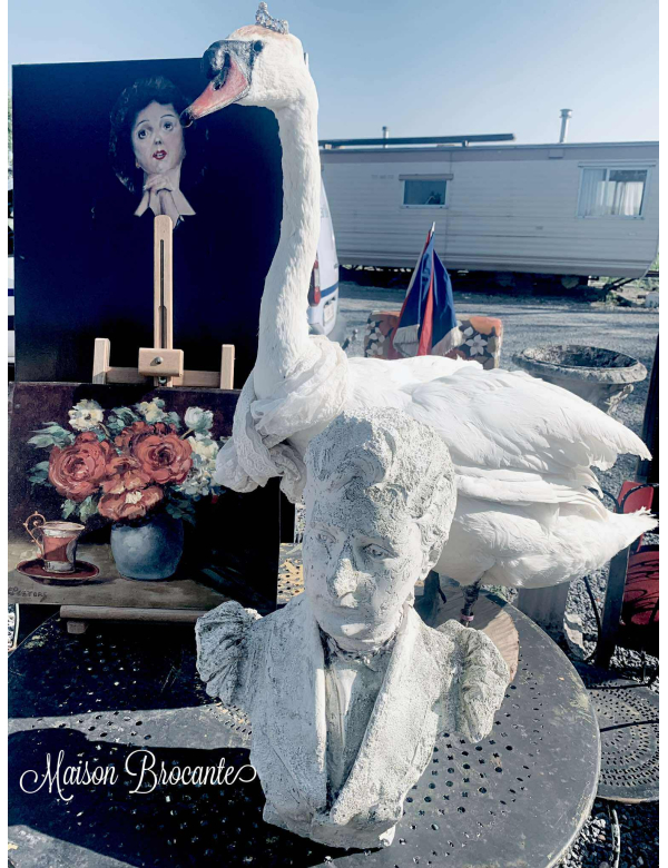 Prachtige knobbelzwaan. 