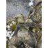Prachtige grote fontein van een moeder met kind. 